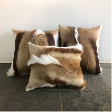 Springbok Scatter Cushions (40cm x 40cm)