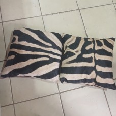Zebra Scatter Cushions (40cm x 40cm)